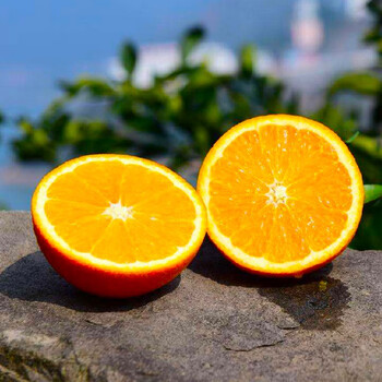 【秒杀3000箱】正宗赣南脐橙 10斤果王(85-100mm)食品类商品-全利兔-实时优惠快报