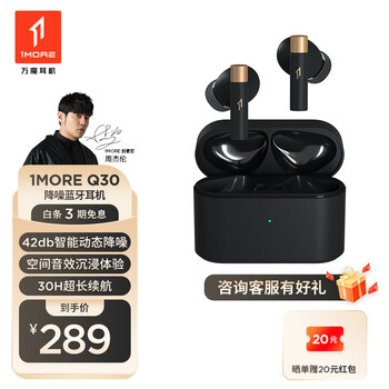 1MORE 万魔 Q30 真无线蓝牙耳机数码类商品-全利兔-实时优惠快报