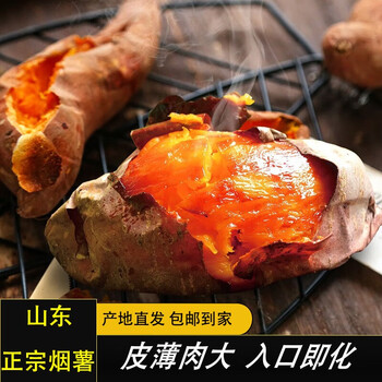 鲁禧 山东烟薯25号 中果5斤装食品类商品-全利兔-实时优惠快报