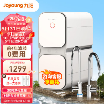 九阳（Joyoung）家用净水器 800G 双出水 5年RO反渗透厨下式直饮机大通量净水机2.4升/分钟 JYW-R589