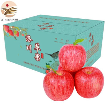  洛川苹果 红富士 陕西延安新鲜生鲜水果 健康轻食 24枚75 单果160-200g净约8.5斤