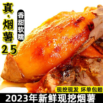 京东百亿补贴：莲山九鲜山东烟薯25号新鲜沙地红薯糖心地瓜蜜5斤装 中果（单果约3-8两）全利兔-实时优惠快报