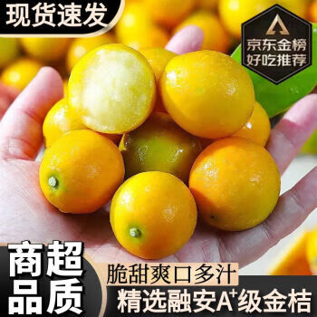 壹萌果蔬 广西融安脆皮小金桔 中果装丨约45个/斤 净重5斤装全利兔-实时优惠快报