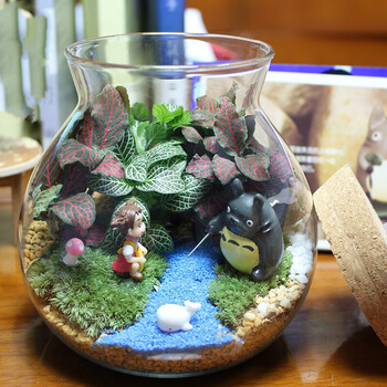 迷你苔藓微景观生态瓶创意龙猫摆件玻璃diy植物盆栽垂钓135cm中号带灯