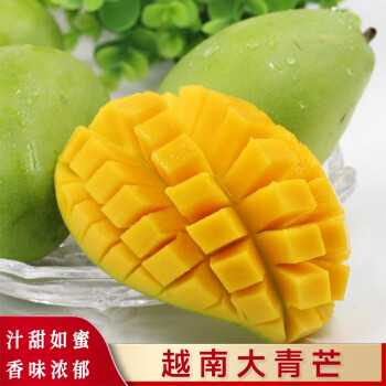 舌尖戏水全年供应越南大青芒大金煌青芒果当季新鲜水果芒果 9斤装