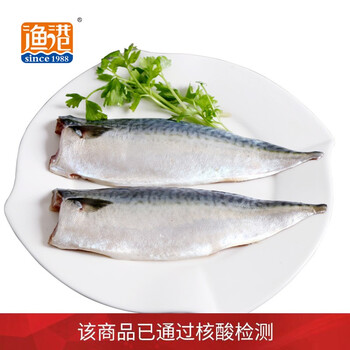 渔港 国产冷冻渤海青花鱼片 500g 袋装 去中骨 海鲜水产全利兔-实时优惠快报
