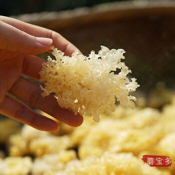 孕妇特级椴木通江银耳干货无硫磺白木耳正宗野生雪耳糯耳通江银耳中朵
