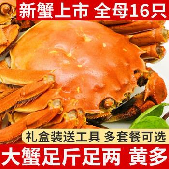 龙行 大闸蟹现货 全母鲜活螃蟹河蟹海鲜中秋礼盒装 全母蟹3.0-3.3两 8只装食品类商品-全利兔-实时优惠快报