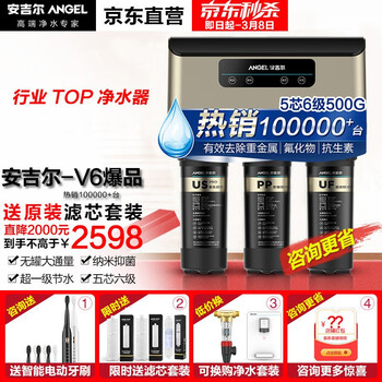 安吉尔净水器家用 直饮水机V6 厨房无桶净水机 厨下双出水反渗透RO膜纯水机 60L/H全屋过滤器 J2605-ROB60(A8)