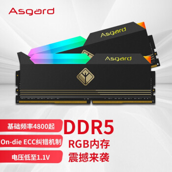 阿斯加特（Asgard）32GB(16Gx2)套装 DDR5 4800 台式机内存条 阿萨战士系列-炫酷黑甲RGB灯条