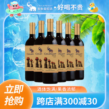 智象摩艾美露干红葡萄酒 750ml*6瓶 红酒整箱 智利进口红酒