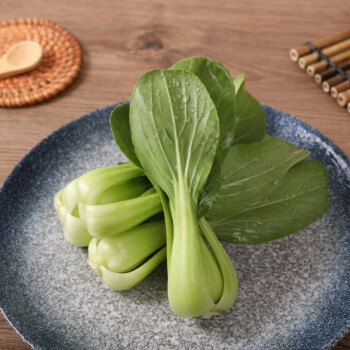 新鲜小油菜上海青小青菜青菜应季蔬菜小油菜现摘现发农家自种4斤精品