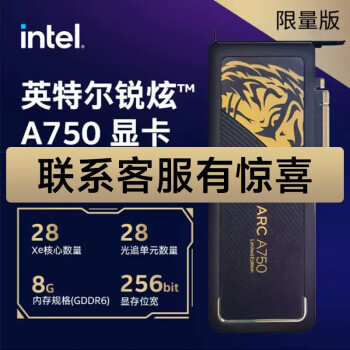 ӢضIntelA750 A770 Կ  Arc Կ8G 羺Ϸרҵ IntelԿ A750-8G
