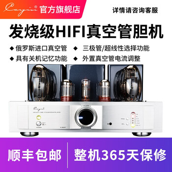 凯音（Cayin） Cayin A-200T 凯音斯巴克功放大功率HIFI推挽胆机发烧级电子管功放 A-200T