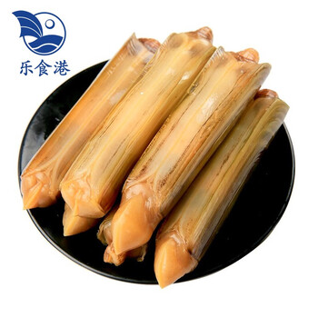 活鲜乐食港鲜活蛏子王海鲜水产大竹蛏烧烤蒸白灼食材500g大竹蛏1013个