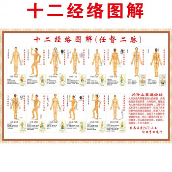 人体十二经络穴位图解任督二脉挂图中医养生穴位挂图海报相纸36寸