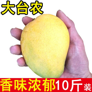 正宗海南小台农芒果小台芒鸡蛋芒大台农大果新鲜5/10斤装 大台农10斤