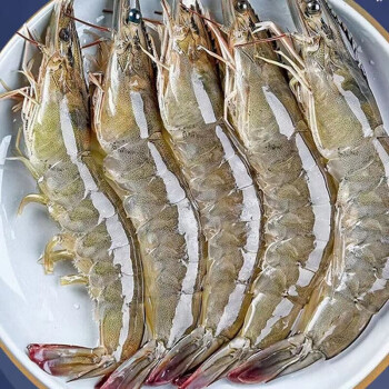 青岛新鲜大虾鲜活冷冻对虾白虾 精选4斤 7-10cm左右