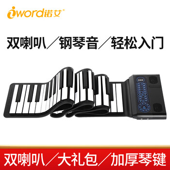 Iword s3088 2024