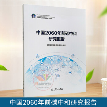 2021新书中国2060年前碳中和研究报告清洁能源跨越化石能源转型能源