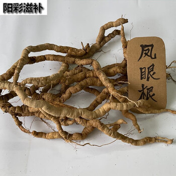 伟博7年以上鲜巴戟天凤眼根鸡肠风现挖鲜货产地直销煲汤泡酒养生药材
