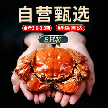 圣堂名钳 大闸蟹鲜 全母蟹3.0-3.3两 8只食品类商品-全利兔-实时优惠快报