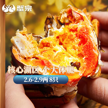 蟹宗 大闸蟹鲜活螃蟹现货 全母2.6-2.9两 8只 生鲜活蟹中秋礼品礼盒湖蟹水产食品类商品-全利兔-实时优惠快报