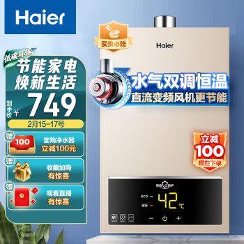 海尔（Haier）12升燃气热水器天然气水气双调恒温五重净化健康ECO节能开机自检多重安防家用JSQ22-12UTS(12T)