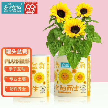 Bloom Life 匠心绽放 向日葵 罐头盆栽向阳而生儿童DIY趣味种植男孩女孩玩具教师节礼物全利兔-实时优惠快报