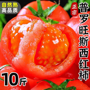  繁浮普罗旺斯西红柿5斤自然熟现摘新鲜番茄小西红柿蔬菜水果生吃 西红柿   5斤