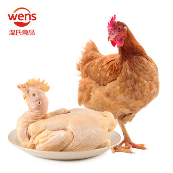 温氏 跑步小土鸡650g  童子鸡土鸡 走地鸡整鸡火锅食材 生鲜鸡肉