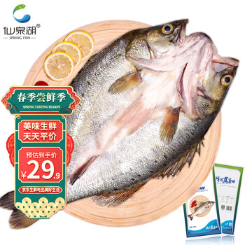 仙泉湖三去白蕉海鲈鱼 500g*1条 净膛冷冻刺少肉厚 地标特产