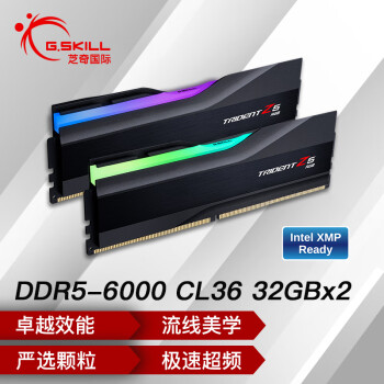 芝奇（G.SKILL）64GB(32Gx2)套装 DDR5 6000频率 台式机内存条-幻锋戟RGB灯条(黯雾黑)/C36