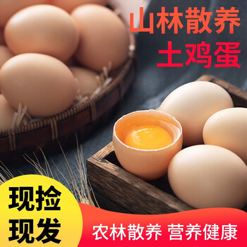 概率券: 我老家 山林散养土鸡蛋 单枚 40±5g 6枚装全利兔-实时优惠快报