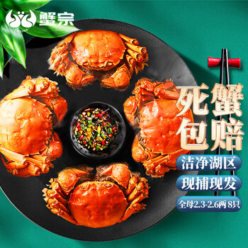 蟹宗 大闸蟹 全母2.3-2.6两 8只装食品类商品-全利兔-实时优惠快报