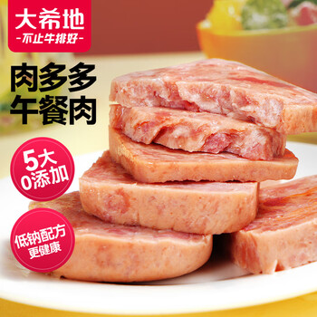 大希地 午餐肉 290g 五大0添加 冷冻 儿童休闲零食火腿肠烧烤火锅食全利兔-实时优惠快报