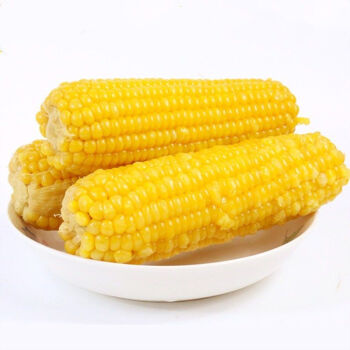 东北特产新鲜黑糯玉米棒玉米粒甜糯粘玉米水果玉米真空包装代餐黄玉米