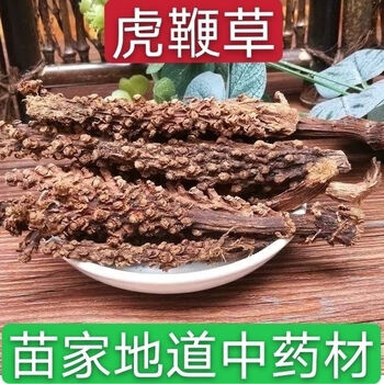 虎鞭草云南苗家特产顶天柱子孙草强劲草男性泡酒料虎鞭草250克