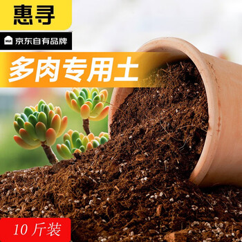 惠寻 多肉颗粒土 一斤 10斤起拍其它类商品-全利兔-实时优惠快报