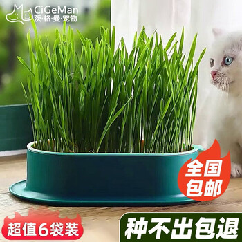 京东PLUS：茨格曼 猫草种子 猫草盆栽套装组合猫咪零食洁牙美毛水培猫草 猫草盒套装 墨绿色全利兔-实时优惠快报