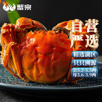 蟹宗 大闸蟹 公蟹235-250g 母蟹180-195g 8只 礼盒装食品类商品-全利兔-实时优惠快报