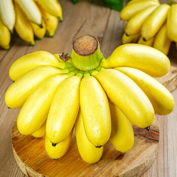 广西小米蕉当季水果新鲜自然熟banana苹果小香蕉2500g