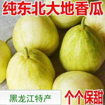 东北香瓜整箱4斤新鲜甜瓜白糖罐黑龙江特产水果
