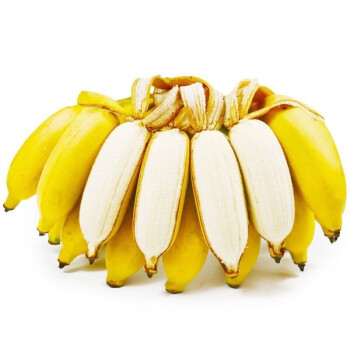 新生鲜水果 国产香蕉 时令生鲜 健康轻食 小米蕉 9斤装