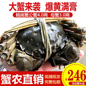 限移动端、京东百亿补贴：阳澄小斌 大闸蟹 4对 礼盒装食品类商品-全利兔-实时优惠快报