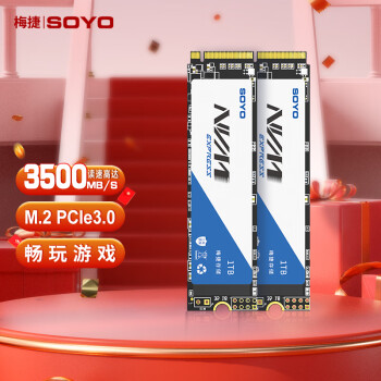 梅捷（SOYO） M.2 2280 NVMe PCIe3.0 SSD固态硬盘台式机笔记本硬盘 M.2 NVME协议 1TB