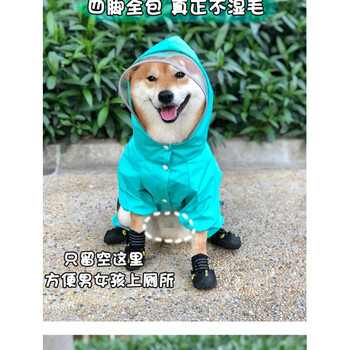 雨天衣服夏比熊雪纳瑞柴犬雨衣包湖蓝色现货防水柔软无异味m码1013斤
