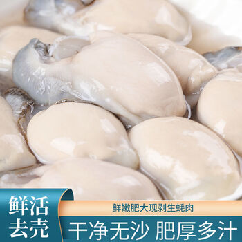 鲜活生蚝海蛎子牡蛎当天现剥发生蚝肉海蛎子肉牡蛎肉去壳新鲜蚝肉诺斯