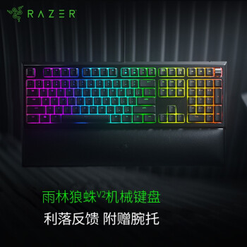 Razer/雷蛇 雷蛇雨林狼蛛V2机械有线游戏键盘104键全键无冲RGB电竞 雨林狼蛛V2