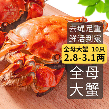乾澄 大闸蟹现货 全母2.8-3.1两10只 去绳足重鲜活螃蟹海鲜礼盒装食品类商品-全利兔-实时优惠快报